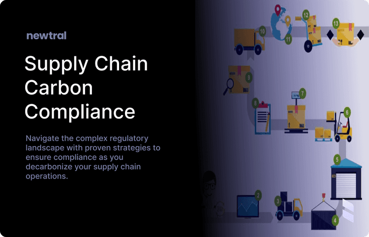 Navigating the Regulatory Maze: Compliance Strategies for a Decarbonizing Supply Chain