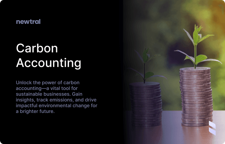 Carbon Accounting: The Sustainability Superpower Your Company Can't Afford to Ignore!