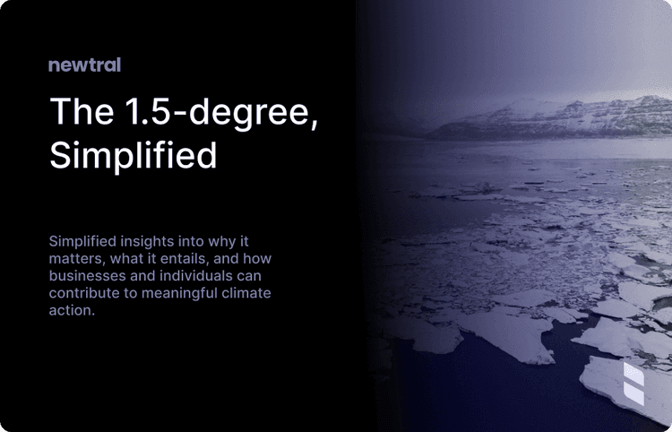 Decoding the 1.5-Degree Challenge: A Business Guide to the Most Important Number in Climate Action