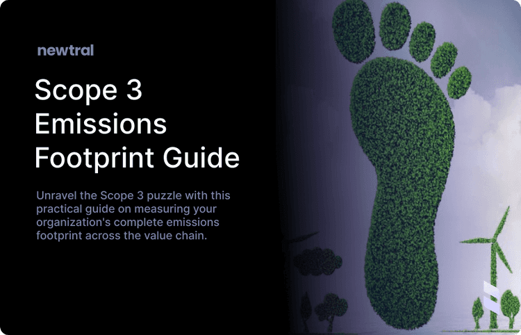 Tackling the Scope 3 Puzzle: A Practical Guide to Measuring Your Full Emissions Footprint