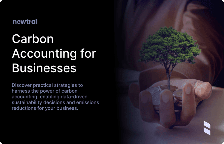 Unlocking the Power of Carbon Accounting: A Practical Guide for Businesses