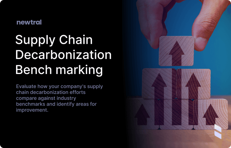 Supply Chain Decarbonisation Benchmarking: How Does Your Company Compare?