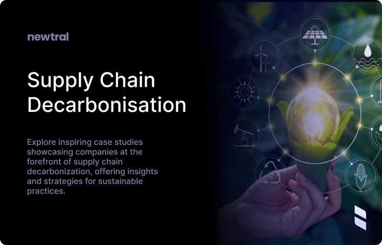 Case Studies: Companies Leading the Way in Supply Chain Decarbonisation