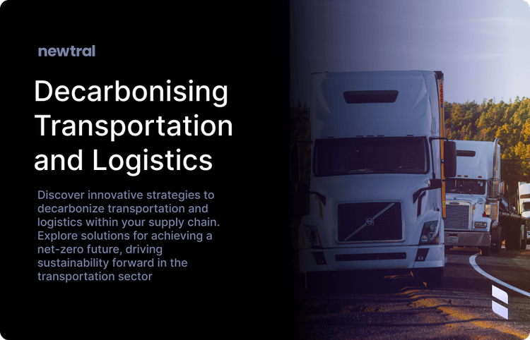 Decarbonising Transportation and Logistics in the Supply Chain: Strategies and Solutions for a Net-Zero Future