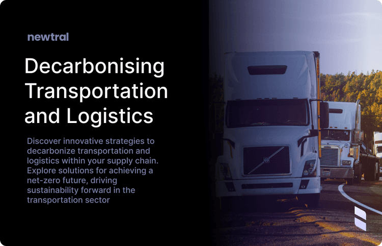 Decarbonising Transportation and Logistics in the Supply Chain: Strategies and Solutions for a Net-Zero Future