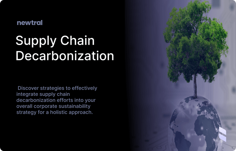 Integrating Supply Chain Decarbonisation into Your Corporate Sustainability Strategy