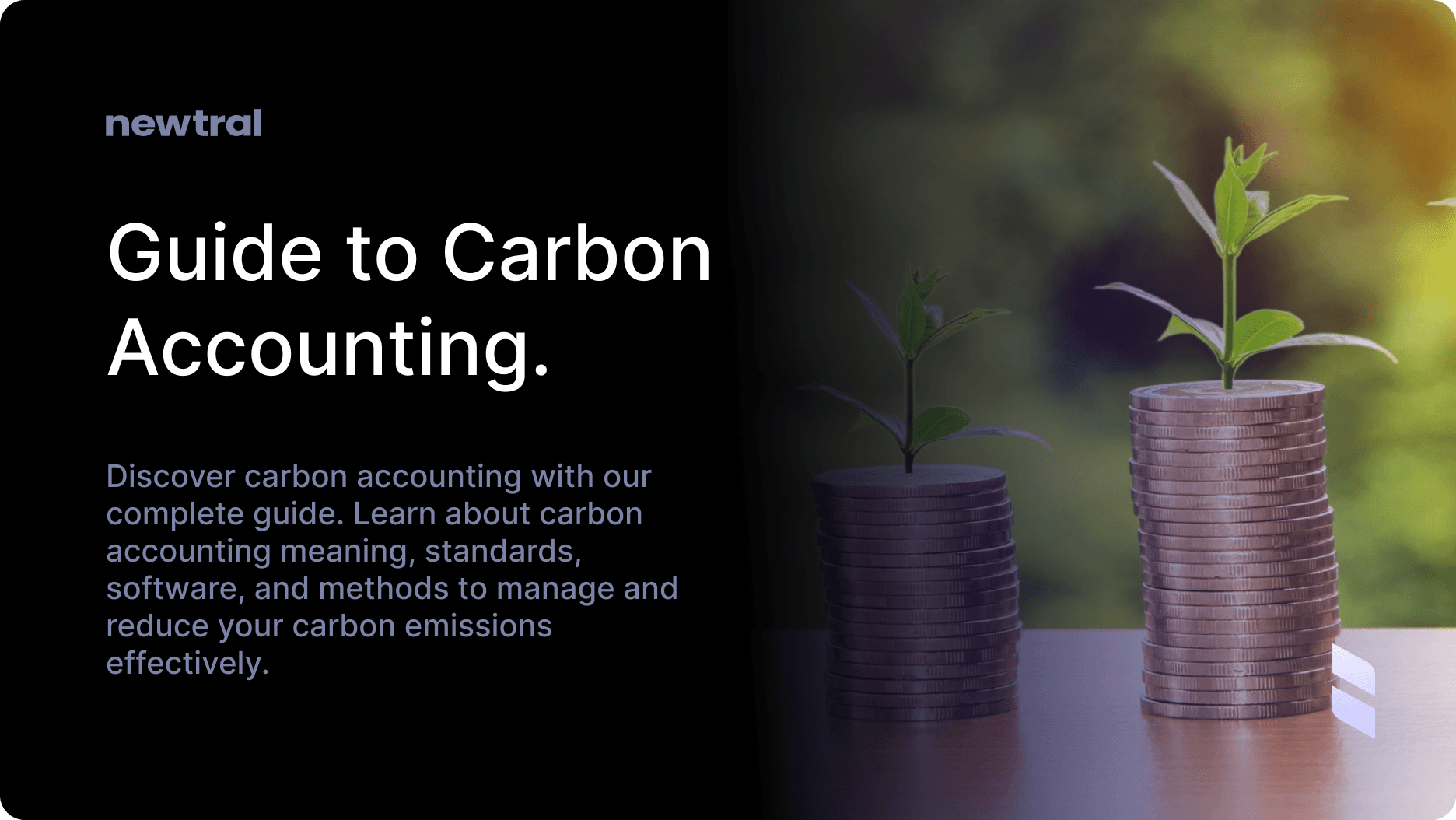 What Is Carbon Accounting? A Comprehensive Guide to Understanding It