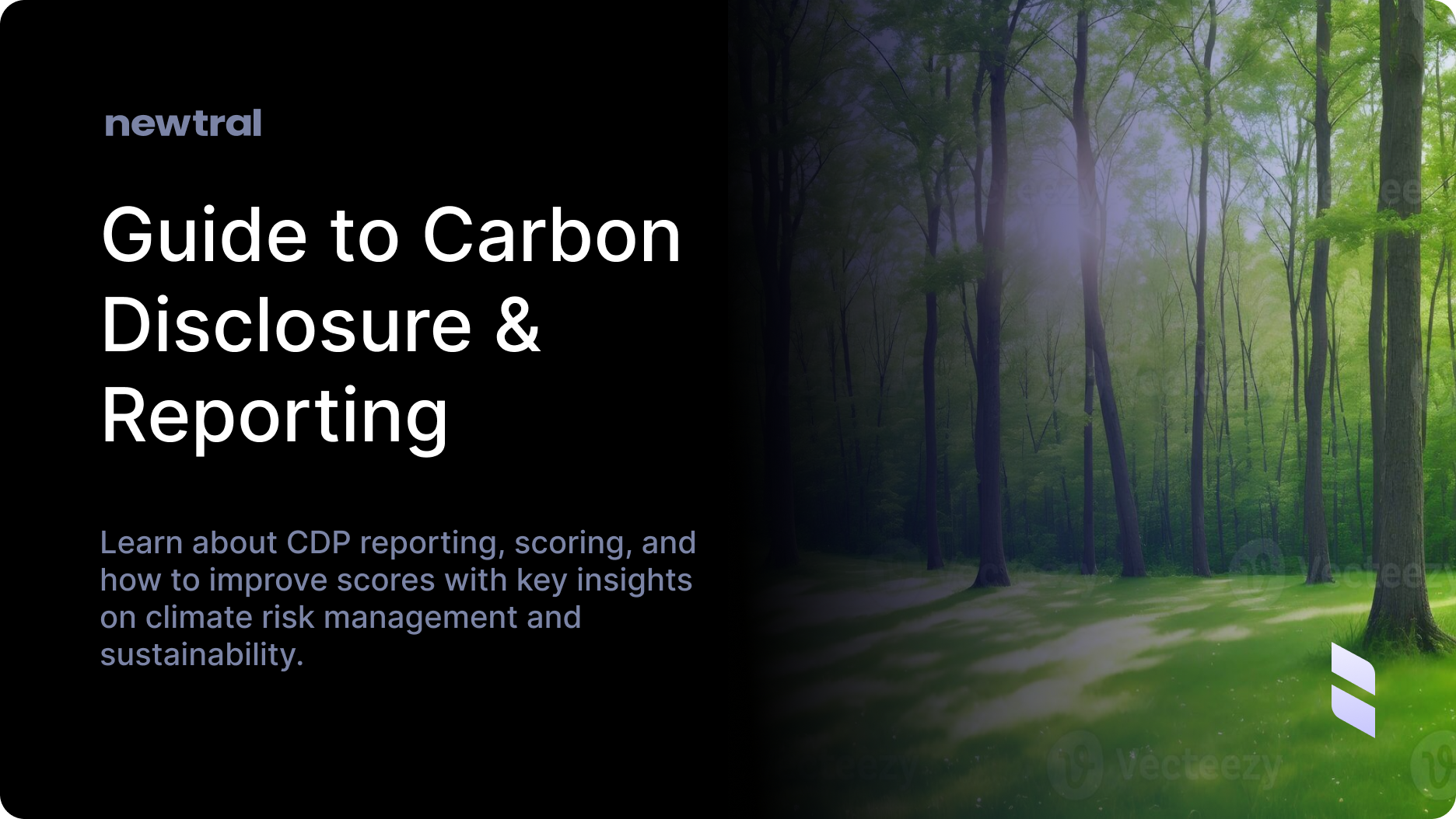 CDP Simplified | A Comprehensive Guide to the Carbon Disclosure Project