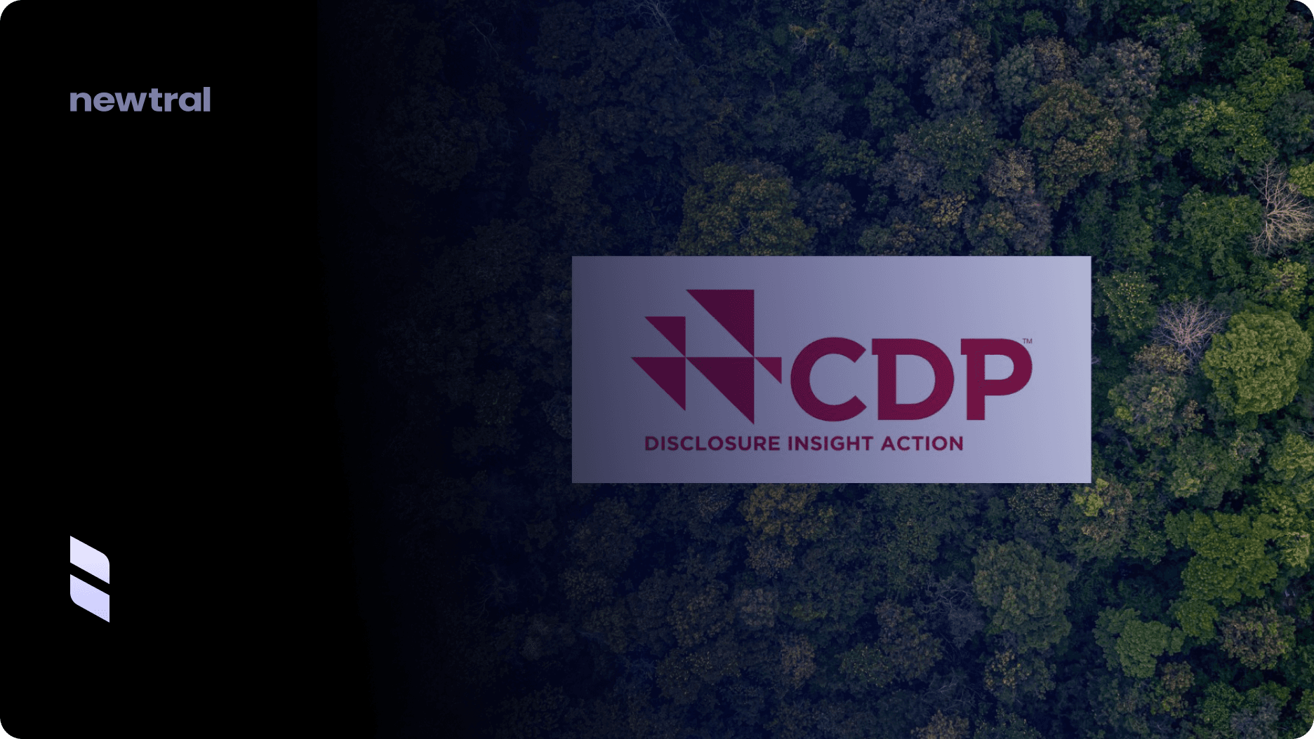 How CDP Incorporates ISSB Climate Disclosures: A Unified Framework for Transparent Reporting