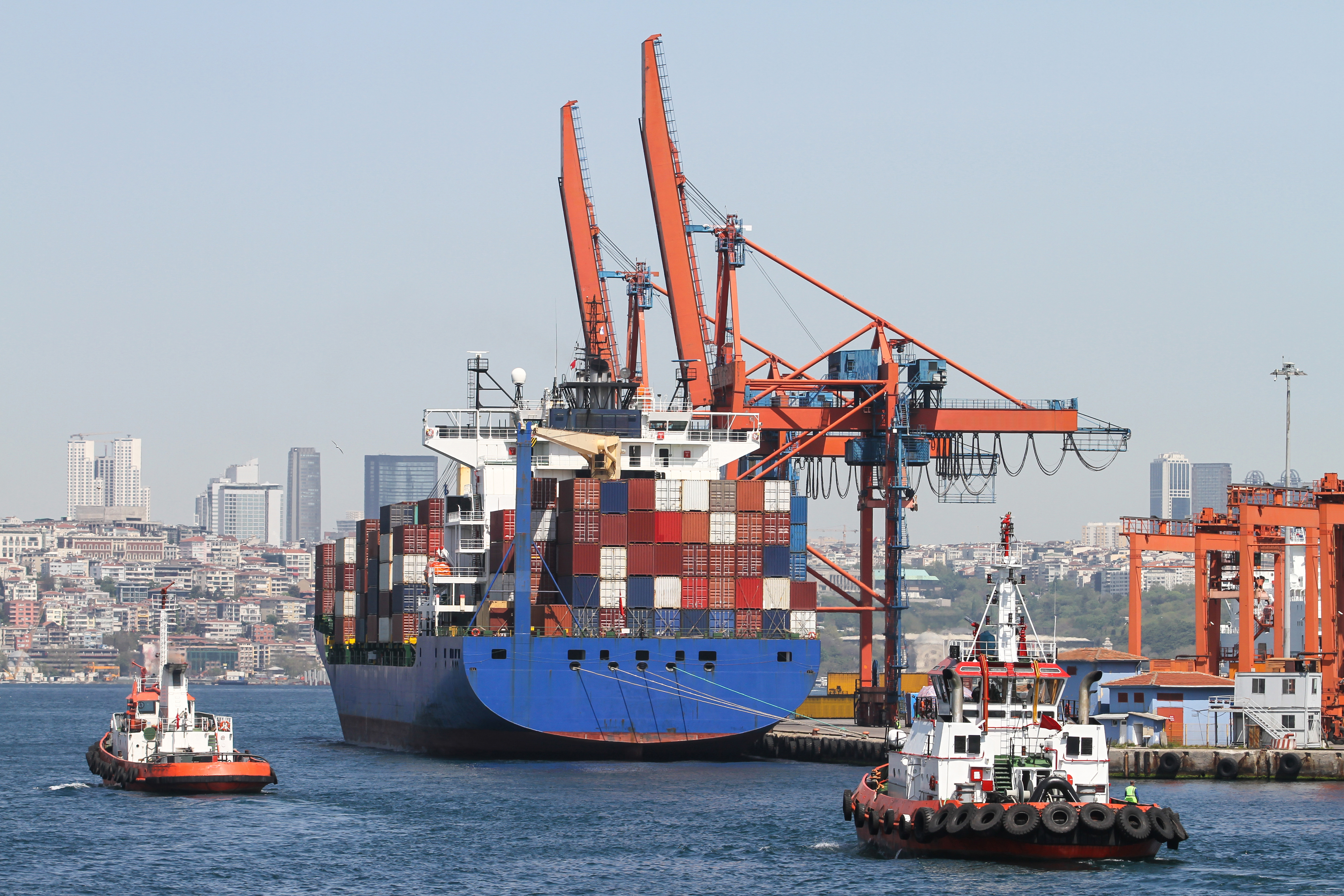 A container ship being loaded with cargo at a port, city skyline in the background