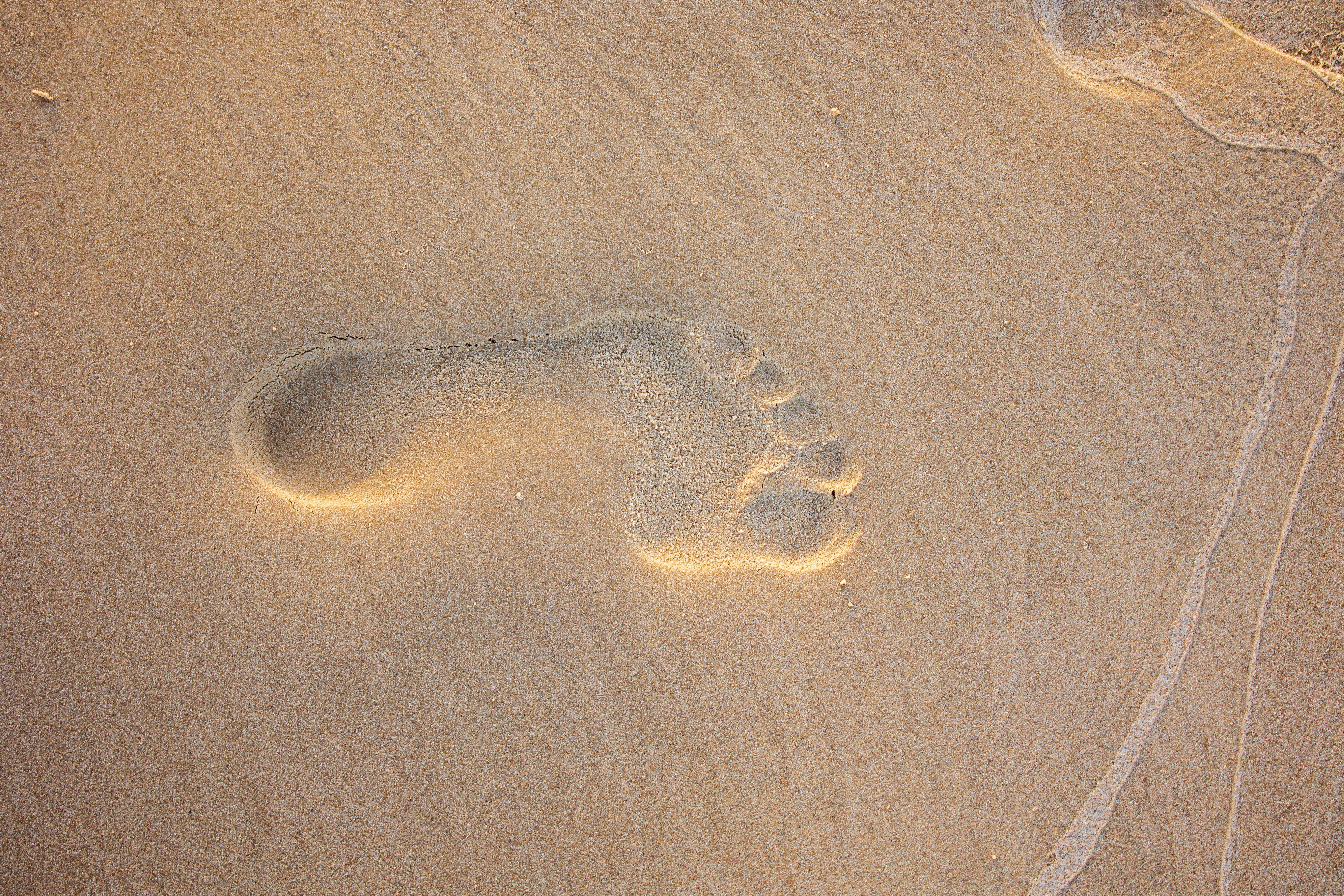Close-up of a single footprint pressed into wet beach sand