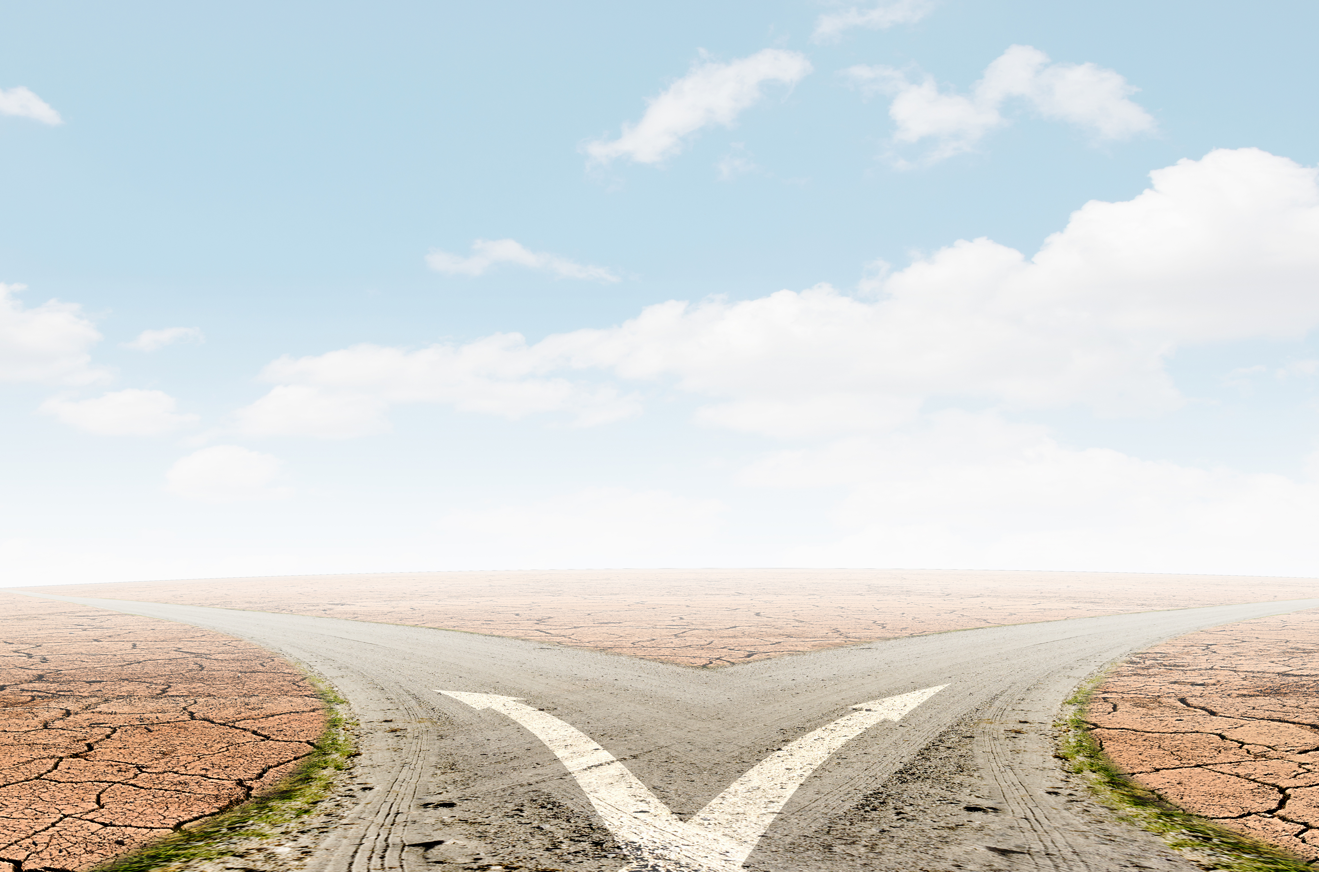 A road forking into two paths in a desert landscape